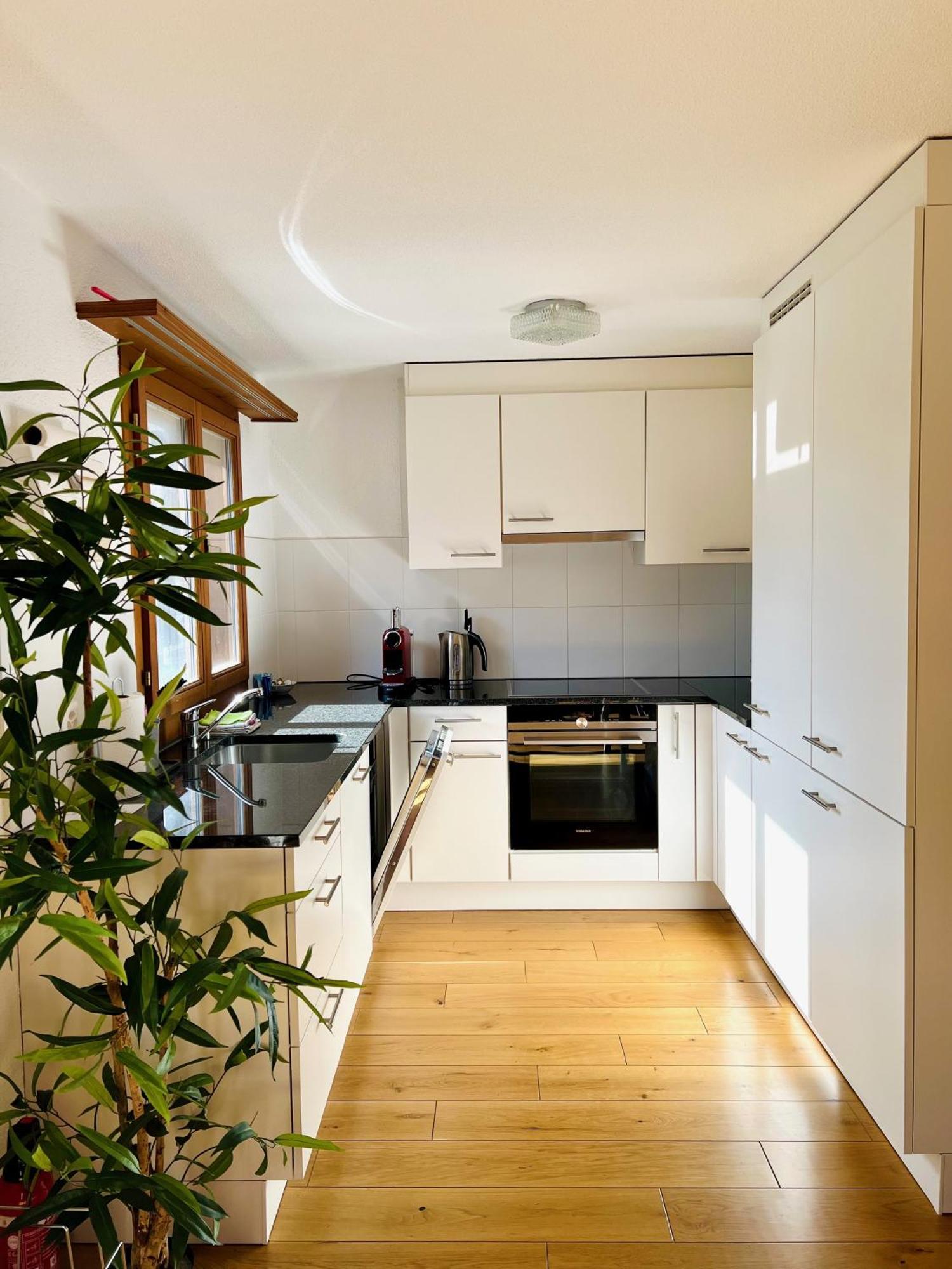 Maisonette 4.5 Zimmer, Naehe Ballenberg Hofstetten bei Brienz Extérieur photo